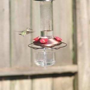 Meet your Posher, Elisabeth